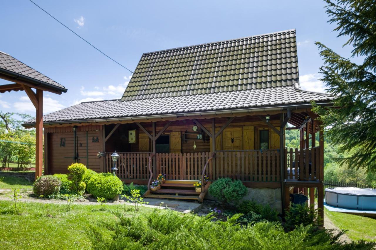 Andrzejowka Villa Kocon Dış mekan fotoğraf